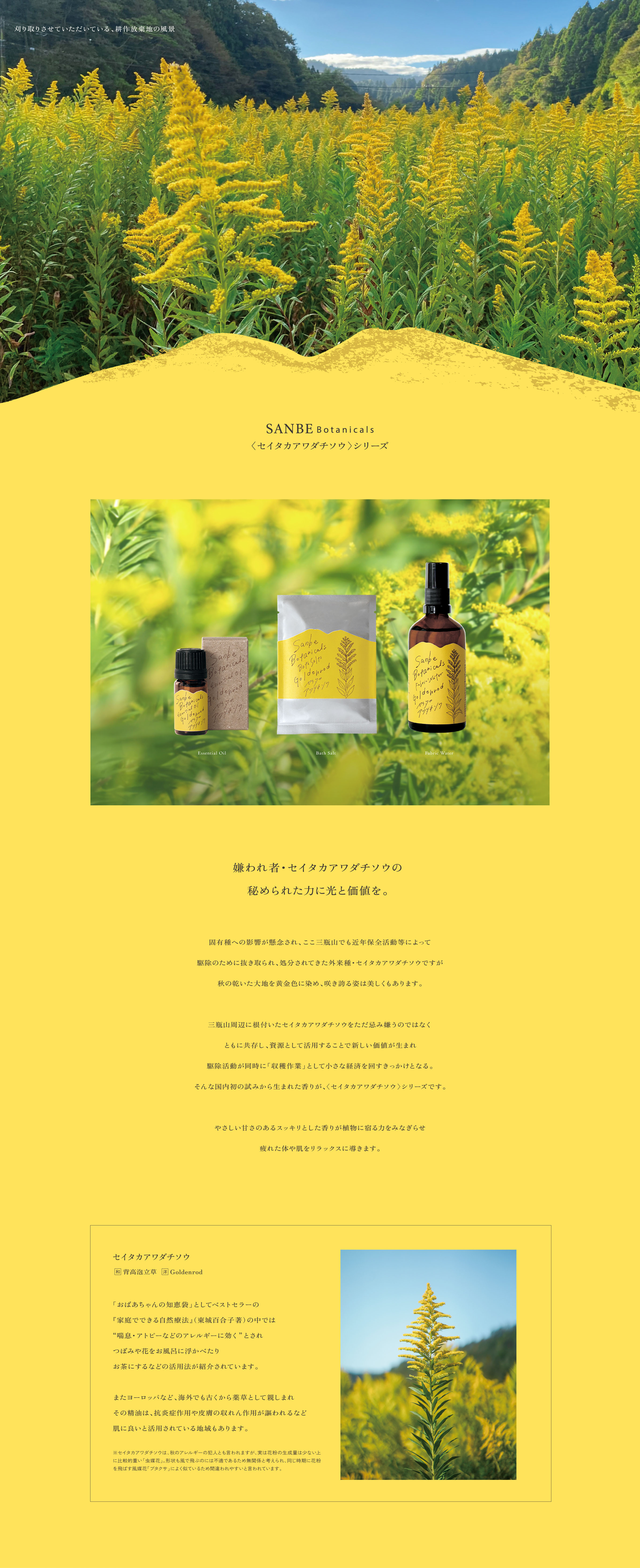 SANBE Botanicals ＜セイタカアワダチソウ＞シリーズ