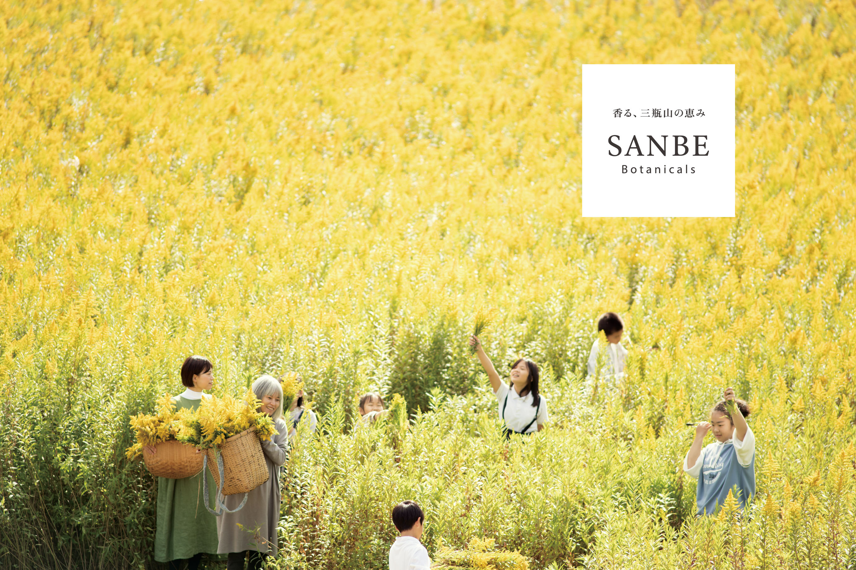 香る、三瓶山の恵み SANBE Botanicals